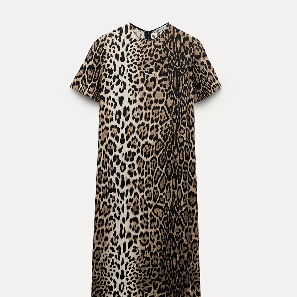 Zara Leopard Print Midi Dress